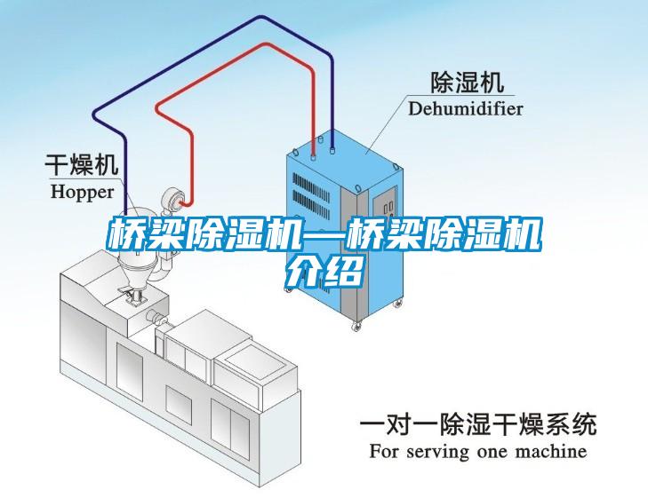 桥梁蜜柚直播APP正版下载—桥梁蜜柚直播APP正版下载介绍