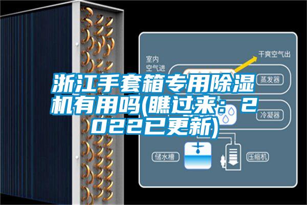 浙江手套箱专用蜜柚直播APP正版下载有用吗(瞧过来：2022已更新)