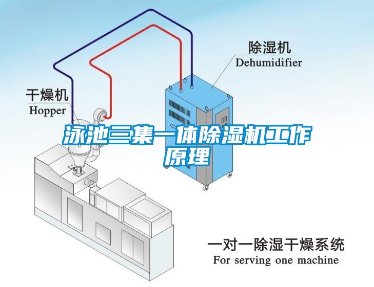 泳池三集一体蜜柚直播APP正版下载工作原理