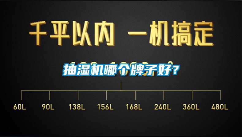 抽湿机哪个牌子好？