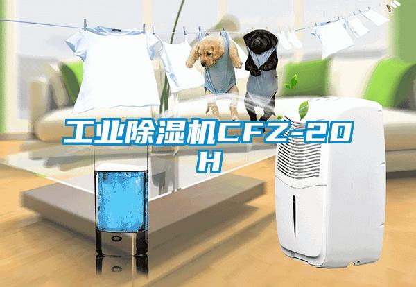 工业蜜柚直播APP正版下载CFZ-20H