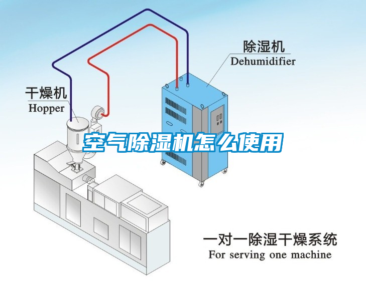 空气蜜柚直播APP正版下载怎么使用