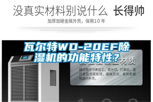 瓦尔特WD-20EF蜜柚直播APP正版下载的功能特性？