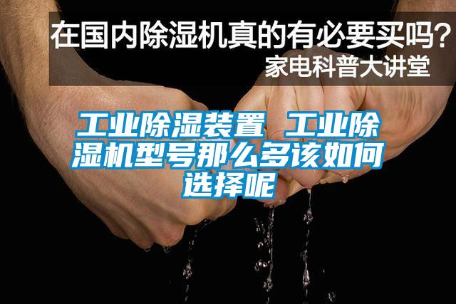 工业除湿装置 工业蜜柚直播APP正版下载型号那么多该如何选择呢