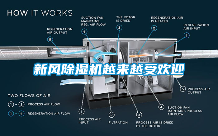 新风蜜柚直播APP正版下载越来越受欢迎