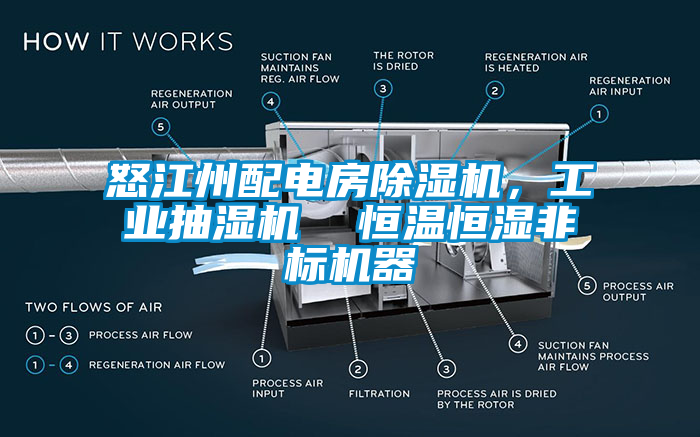 怒江州配电房蜜柚直播APP正版下载，工业抽湿机  恒温恒湿非标机器