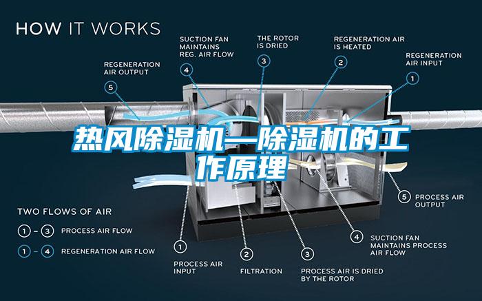 热风蜜柚直播APP正版下载—蜜柚直播APP正版下载的工作原理