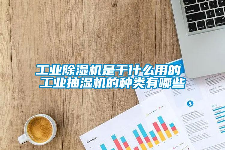 工业蜜柚直播APP正版下载是干什么用的 工业抽湿机的种类有哪些