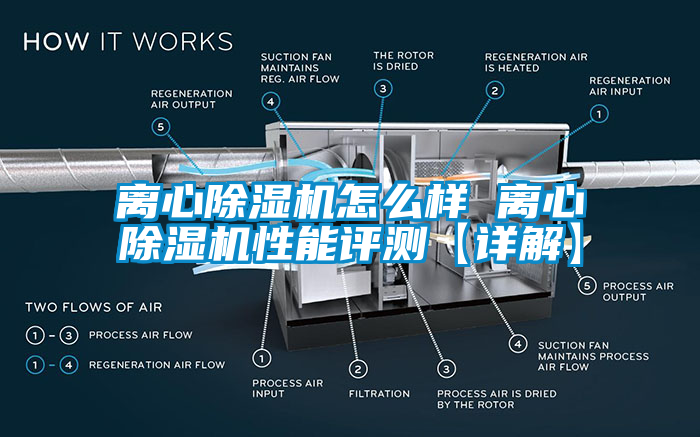 离心蜜柚直播APP正版下载怎么样 离心蜜柚直播APP正版下载性能评测【详解】