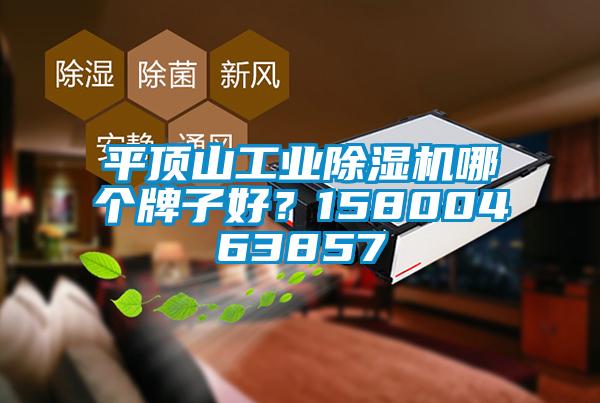 平顶山工业蜜柚直播APP正版下载哪个牌子好？15800463857