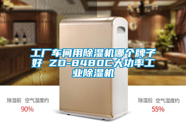 工厂车间用蜜柚直播APP正版下载哪个牌子好 ZD-8480C大功率工业蜜柚直播APP正版下载