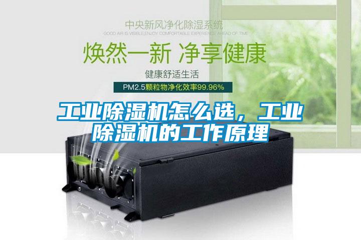 工业蜜柚直播APP正版下载怎么选，工业蜜柚直播APP正版下载的工作原理