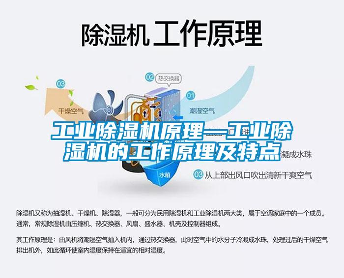 工业蜜柚直播APP正版下载原理—工业蜜柚直播APP正版下载的工作原理及特点