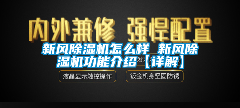 新风蜜柚直播APP正版下载怎么样 新风蜜柚直播APP正版下载功能介绍【详解】