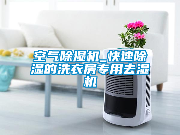 空气蜜柚直播APP正版下载_快速除湿的洗衣房专用去湿机