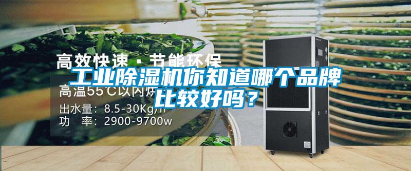 工业蜜柚直播APP正版下载你知道哪个品牌比较好吗？