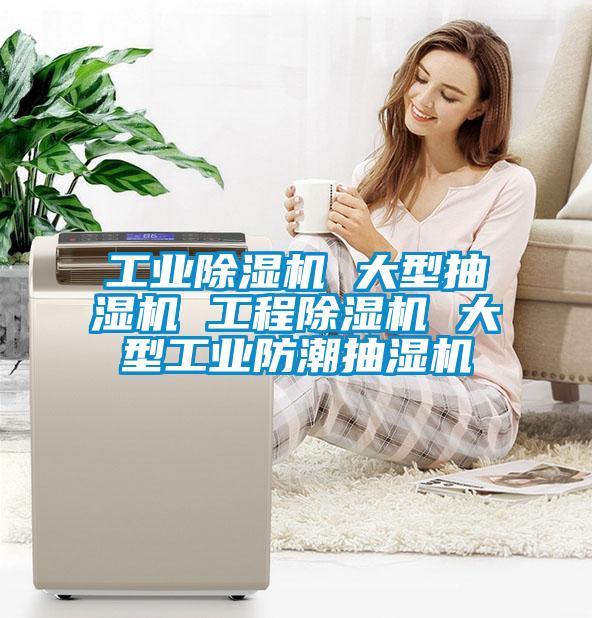 工业蜜柚直播APP正版下载 大型抽湿机 工程蜜柚直播APP正版下载 大型工业防潮抽湿机