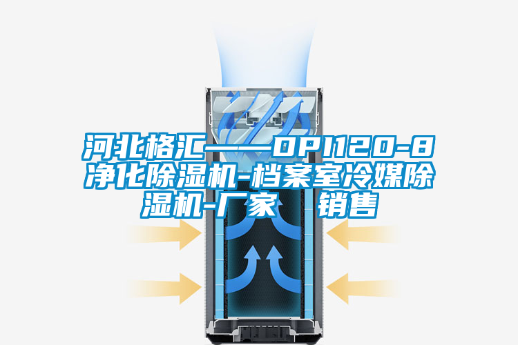 河北格汇——DPI120-8净化蜜柚直播APP正版下载-档案室冷媒蜜柚直播APP正版下载-厂家  销售