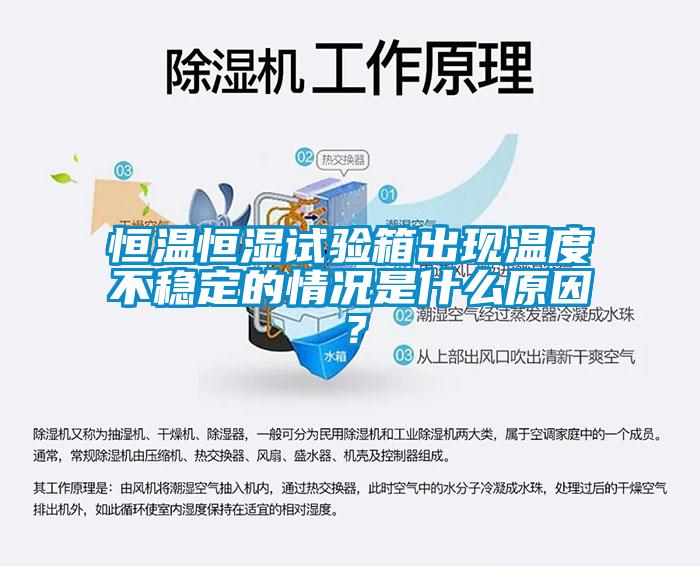 恒温恒湿试验箱出现温度不稳定的情况是什么原因？