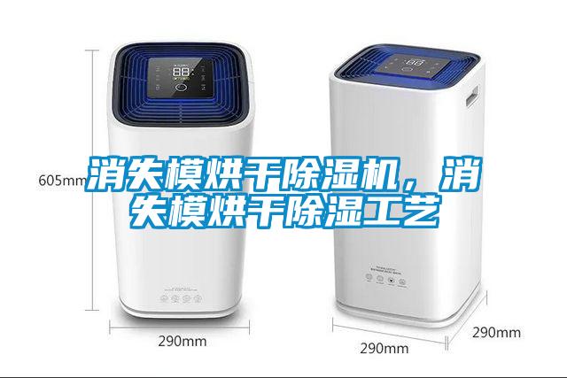 消失模烘干蜜柚直播APP正版下载，消失模烘干除湿工艺