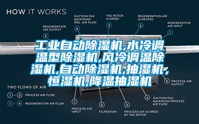 工业自动蜜柚直播APP正版下载,水冷调温型蜜柚直播APP正版下载,风冷调温蜜柚直播APP正版下载,自动蜜柚直播APP正版下载,抽湿机，恒湿机,降温抽湿机