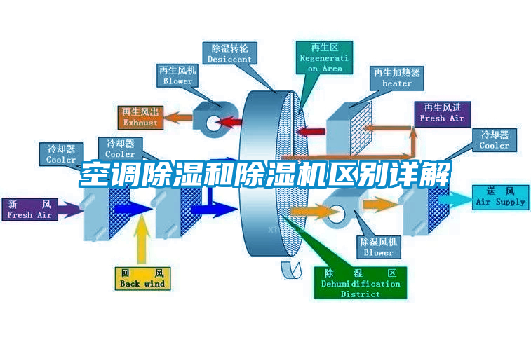 空调除湿和蜜柚直播APP正版下载区别详解