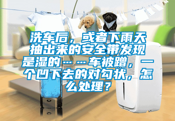 洗车后，或者下雨天抽出来的安全带发现是湿的……车被蹭，一个凹下去的对勾状，怎么处理？