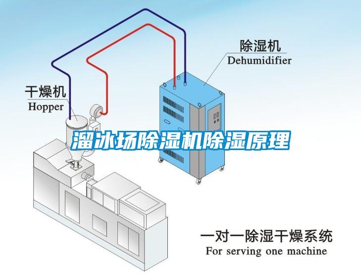 溜冰场蜜柚直播APP正版下载除湿原理