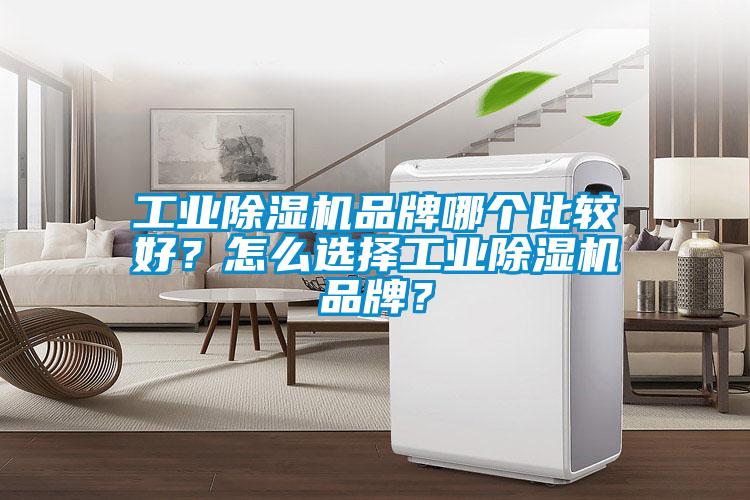 工业蜜柚直播APP正版下载品牌哪个比较好？怎么选择工业蜜柚直播APP正版下载品牌？