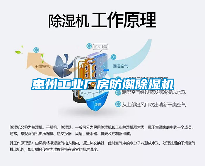 惠州工业厂房防潮蜜柚直播APP正版下载