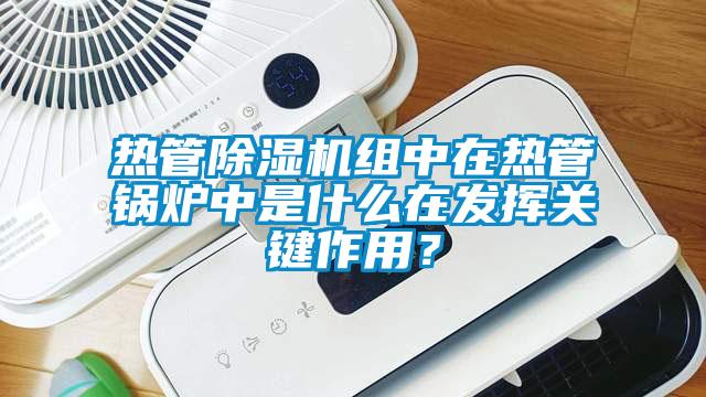 热管蜜柚直播APP正版下载组中在热管锅炉中是什么在发挥关键作用？