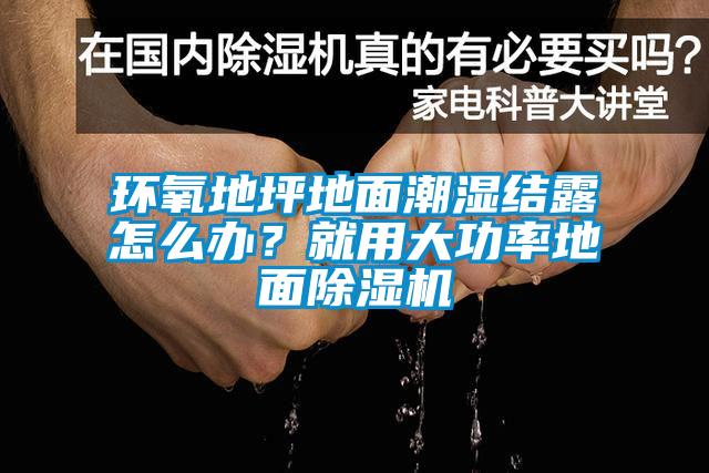 环氧地坪地面潮湿结露怎么办？就用大功率地面蜜柚直播APP正版下载