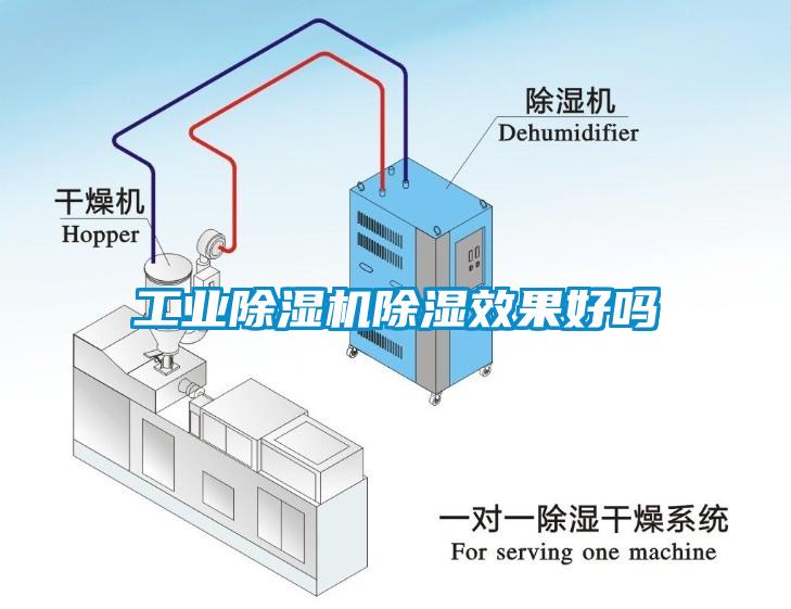 工业蜜柚直播APP正版下载除湿效果好吗