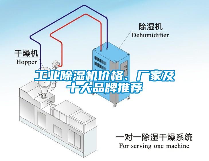 工业蜜柚直播APP正版下载价格、厂家及十大品牌推荐