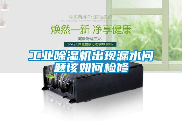 工业蜜柚直播APP正版下载出现漏水问题该如何检修