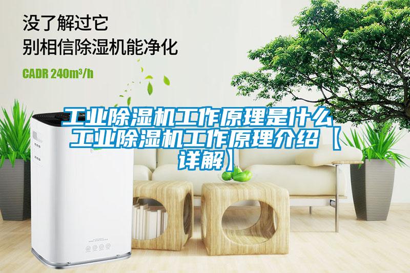 工业蜜柚直播APP正版下载工作原理是什么 工业蜜柚直播APP正版下载工作原理介绍【详解】