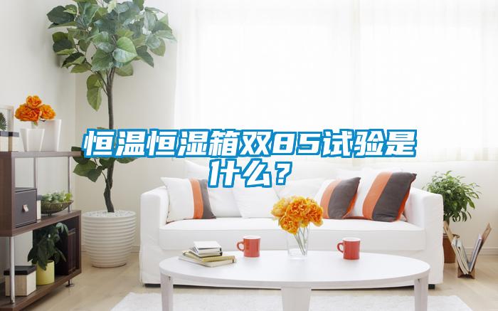 恒温恒湿箱双85试验是什么？