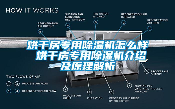 烘干房专用蜜柚直播APP正版下载怎么样 烘干房专用蜜柚直播APP正版下载介绍及原理解析