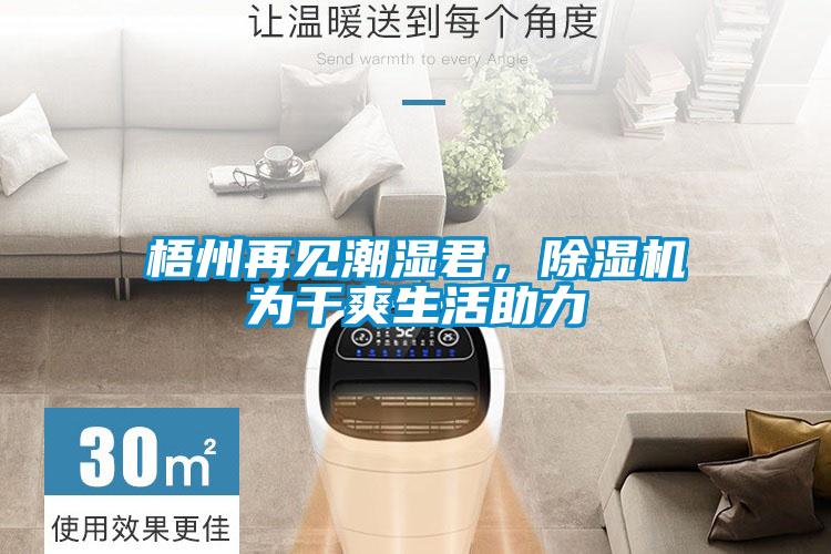 梧州再见潮湿君，蜜柚直播APP正版下载为干爽生活助力