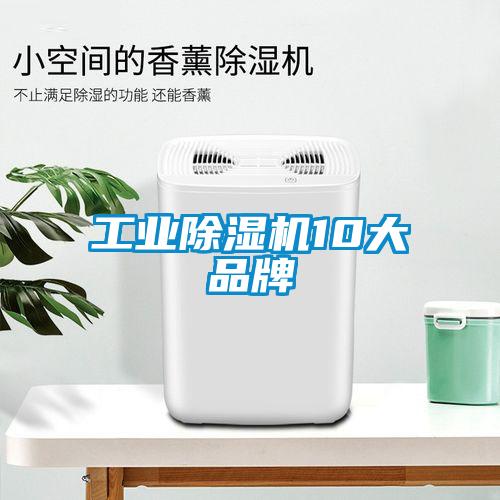 工业蜜柚直播APP正版下载10大品牌