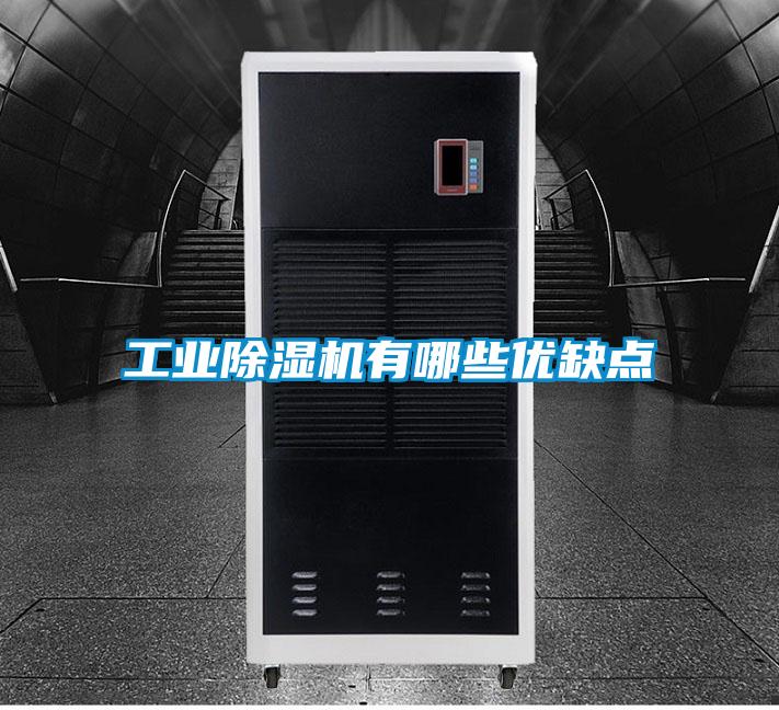 工业蜜柚直播APP正版下载有哪些优缺点