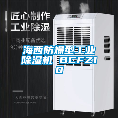 海西防爆型工业蜜柚直播APP正版下载 BCFZ10