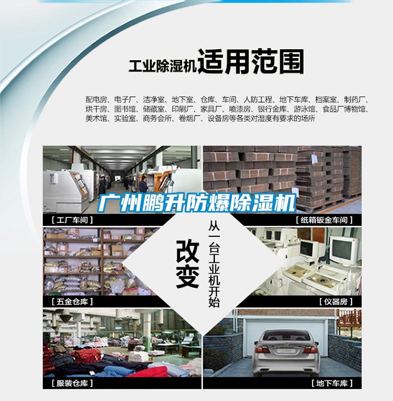 广州鹏升防爆蜜柚直播APP正版下载