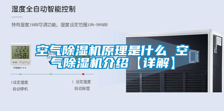 空气蜜柚直播APP正版下载原理是什么 空气蜜柚直播APP正版下载介绍【详解】