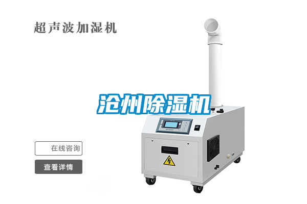 沧州蜜柚直播APP正版下载