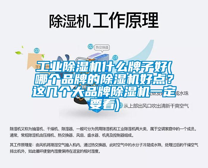 工业蜜柚直播APP正版下载什么牌子好(哪个品牌的蜜柚直播APP正版下载好点？这几个大品牌蜜柚直播APP正版下载一定要看)