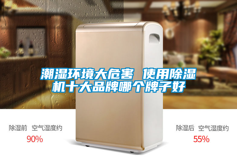 潮湿环境大危害 使用蜜柚直播APP正版下载十大品牌哪个牌子好