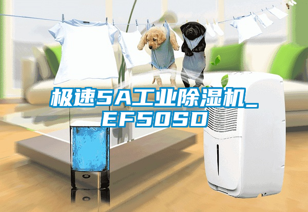 极速5A工业蜜柚直播APP正版下载_EF50SD