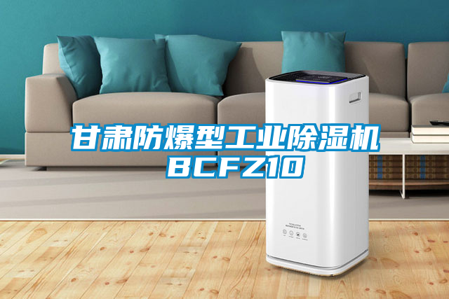 甘肃防爆型工业蜜柚直播APP正版下载 BCFZ10