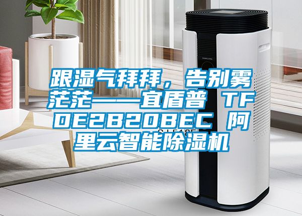 跟湿气拜拜，告别雾茫茫——宜盾普 TFDE2B20BEC 阿里云智能蜜柚直播APP正版下载